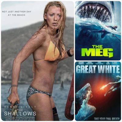 [DVD HD] หนังฉลาม-แอคชั่น ทริลเลอร์ ☆Great White☆The Meg☆The Shallows ☆มัดรวม 3 เรื่อง-3 แผ่น #แพ็คสุดคุ้ม (ดูพากย์ไทยได้-ซับไทยได้)