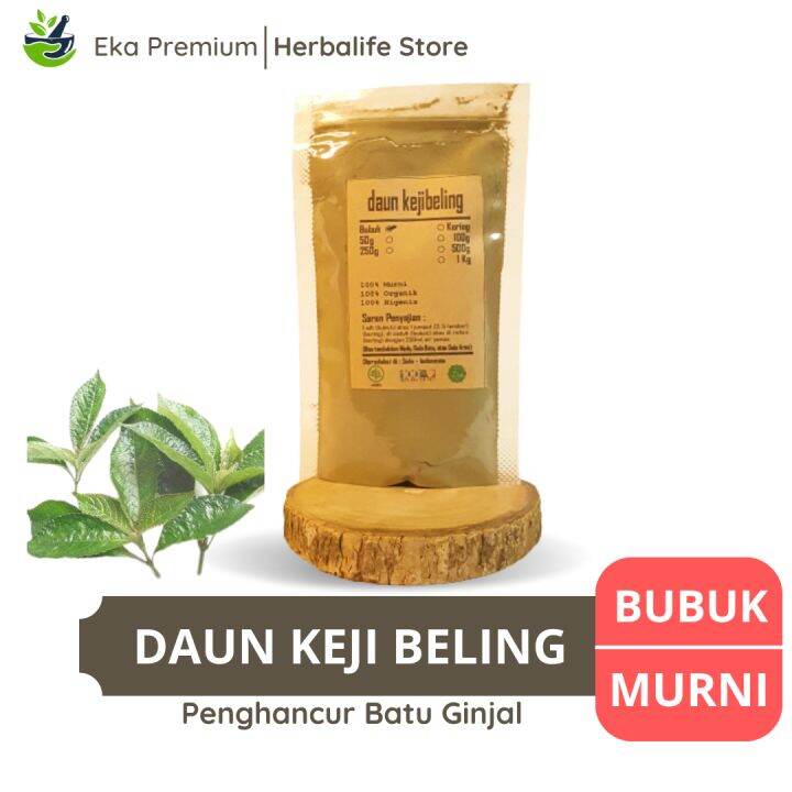 DAUN KEJI BELING BUBUK Kering Asli Penghancur Batu Ginjal Peluruh ...