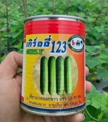 แตงกวาเกริลลี่123  ตลาดต้องการ 100 กรัม