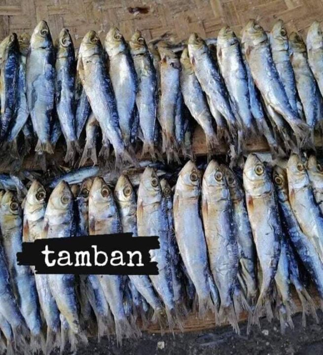 Tamban Tuyo Dried Fish 1/2 Kilo | Lazada PH