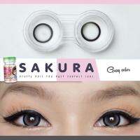 Sakura eff.19 ตาโต ตัดขอบดำ (Pretty doll)