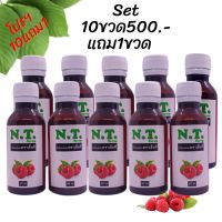 NT Syrup น้ำเชื่อมเข้มข้นตราเอ็นที ( 10 ขวด 500- แถมฟรี 1 ขวด )