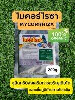 ไมคอร์ไรซา Mycorrhiza เสริมการเจริญเติบโตของพืช สร้างภูมิคุ้มกันโรค ขนาด 200 กรัม ไร้สารเคมี  (ค่าส่งถูกกว่า)