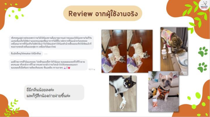 ผลิตภัณฑ์เสริมอาหารแมว-synbio7-for-cats