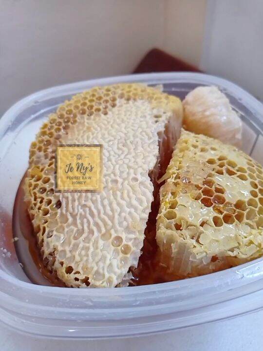 Jeny's Forest Raw Wild Honey (100% Authentic Mt. Samat Honey) | Jenys ...