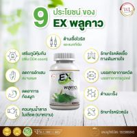 ส่งฟรี?-EX พลูคาว☘️สมุนไพรไทย