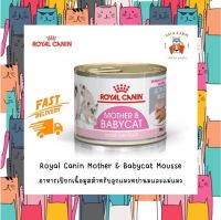 Royal Canin อาหารเปียกเนื้อมูนสำหรับแม่แมวและลูกแมว