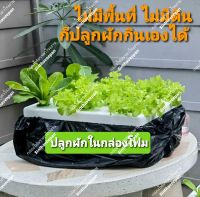 กล่องโฟมปลูกผักไฮโดรโปนิกส์ กล่องกุ้ง กล่องโฟมราคาถูกจากโรงงาน