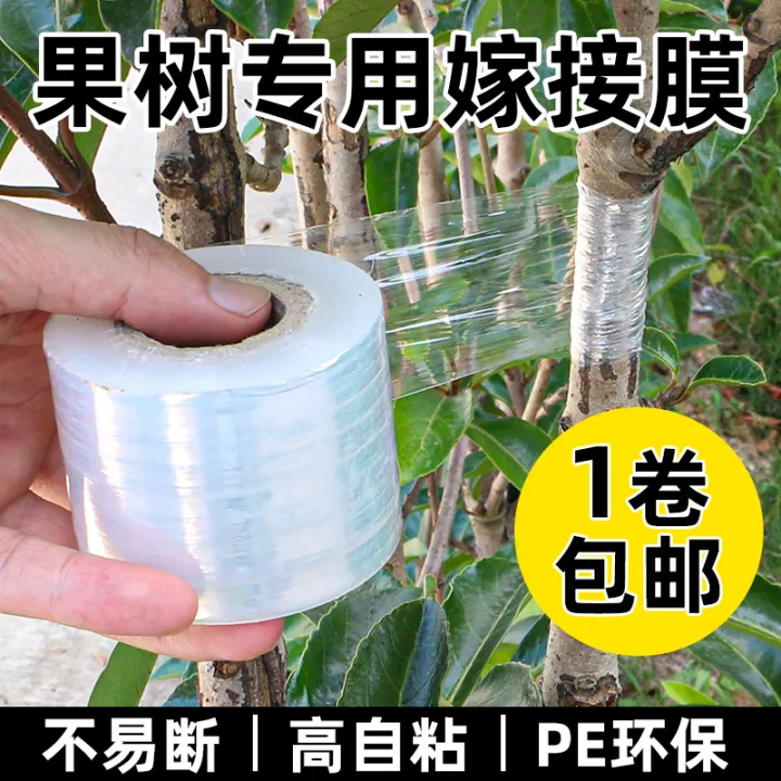 Grafting Membrane Exclusive Film PE Fruit Tree SelfAdhesive Film