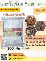 เมธาไรเซียม กำจัดปลวก กำจัดปลวกปลอดภัย กำจัดปลวกจากสารธรรมชาติ กำจัดปลวกปลอดภัยต่อเด็ก และ สัตว์เลี้ยง 300 กรัม