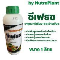 ซีเฟรซ แมกนีเซียม+สาหร่ายเขียว ชนิดน้ำ ขนาด 1 ลิตร by NutraPlant *ส่งไว เก็บปลายทาง