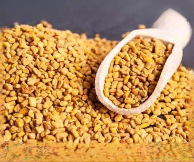 Fenugreek Seeds Venthayam Biji Halba 100g 250g 500g Lazada