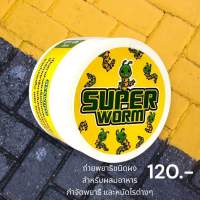 ซุปเปอร์วอร์ม(Super worm) อาหารไก่ชนวัยรุ่นตุรกี