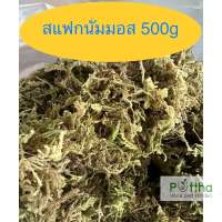 สแฟกนั่มมอส มอสเขียว มอสเลี้ยงสัตว์ 500กรัม