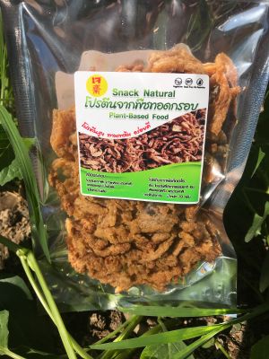 โปรตีนจากพืชทอดกรอบ Snack Natural Food