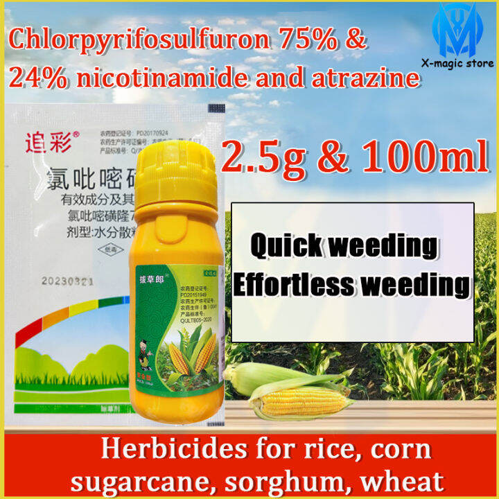 🌽Special herbicide for corn field🌿 weed and grass killer