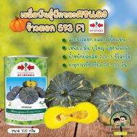 เมล็ดฟักทอง ข้าวตอก 573 F1 ?ขนาด100g (ตราศรแดง)