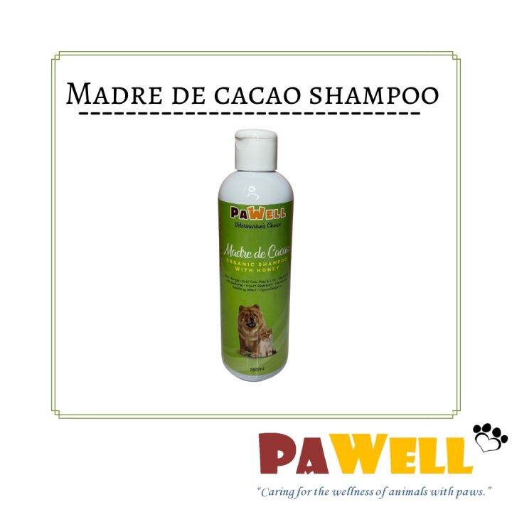 PaWell Madre De Cacao Shampoo 250 mL Lazada PH