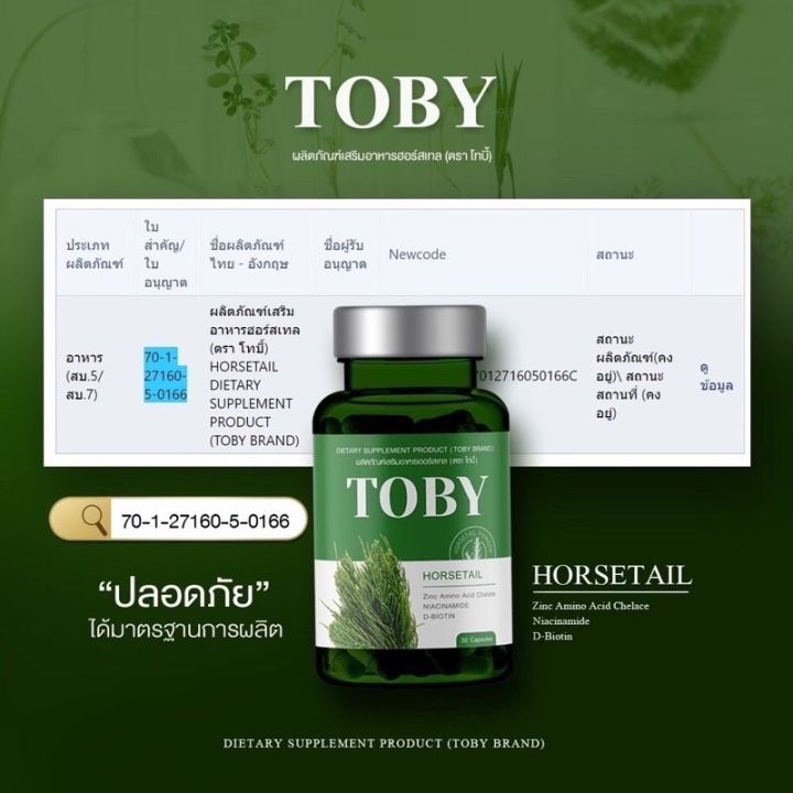 โทบี้หางม้า-toby-horsetail-โทบี้ฮอร์สเทล-โทบี้หญ้าหางม้า-ลดผมร่วง-ผมสี-ผมงอกใหม่-ลดรังแค-บำรุงรากผมให้แข็งแรง