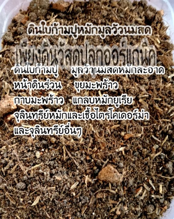 สูตร02-ซื้อ-10-กิโลกรัมแถมฟรี-2-กิโลหมักแล้วไม่ร้อนดินก้ามปูหมักมูลวัวสะอาด-ดินผสมสำเร็จ-ดินปลูกต้นไม้-ดินปลูก-เกษตรอินทรีย์-ดินออร์แกนิค-ดินอินทรีย์-ปุ๋ยอินทรีย์-ดินก้ามปู-ดินหมักใบก้ามปู-ดินก้ามปูหม