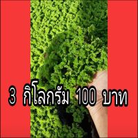 แหนแดง กรมวิชาการเกษตร (ไมโครฟิลล่า ) น้ำหนัก 3 กิโลกรัม 100 บ.แถม 2 ขีด เพาะเลี้ยงด้วยระบบปิด  ลดต้นทุนเรื่องอาหารสัตว์ ปลา ไก่ไข่ ไก่บ้าน กบ หมู วัว จิ้งหรีด ปูนา หอยเชอรี่  เป็นต้น ใช้ทำเป็นปุ๋ยพืชสด เพิ่มธาตุไนโตลรเจน ให้กับดินและน้ำ