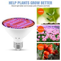 ไฟ LED สำหรับปลูกพืช ไฟปลูก ไฟปลูกต้นไม้ LED 300LED คุณภาพสูง Grow Light หลอดไฟ E27 Full Spectrum Led Phyto โคมไฟ Growth