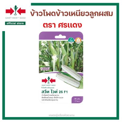 เมล็ดพันธุ์ข้าวโพด สวีทไวท์ 25 F1 ตราศรเเดง (East-West Seed) เมล็ดพันธุ์ ผักสวนครัว