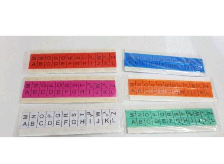 Speedo Index Tabs Lazada PH