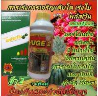 2 กระปุก พลัสสัน+ฮิ้ว2 ขนาด 1 ลิตร พลัสวัน สารเร่งโตเร่งใบฮิ้ว2 ยัดหยังและกำจัดเชื้อรา