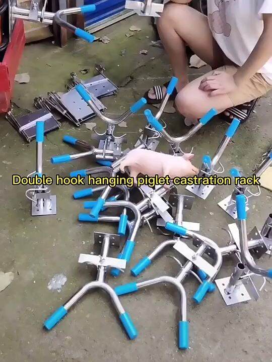 Castration Tools for Pig Stainless Steel Double Hook Castration Rack 1