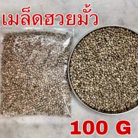 เมล็ดฮวยมั้ว 100 กรัม เกรดA 火麻仁 อาหารนกแก้ว ฮวยมั๊ว ฮ้วยมั้ว ฮวยมั้ว Hemp Seed เมล็ดพืช โปรตีนสูง ไขมันสูง อาหารว่างสำหรับนก แฮมสเตอร์ กระรอก