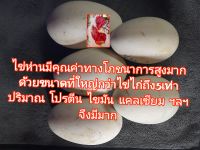 ขายไข่ห่านเอ็มเดน สายพันธ์เยอรมัน ตรวจสอบแล้วไม่มีเชื้อ ไข่ห่านมีน้ำหนักเฉลี่ย 150-250กรัมขายแพ็คละ 4 ฟองราคา 120 บาท เหมาะสำหรับทำอาหร