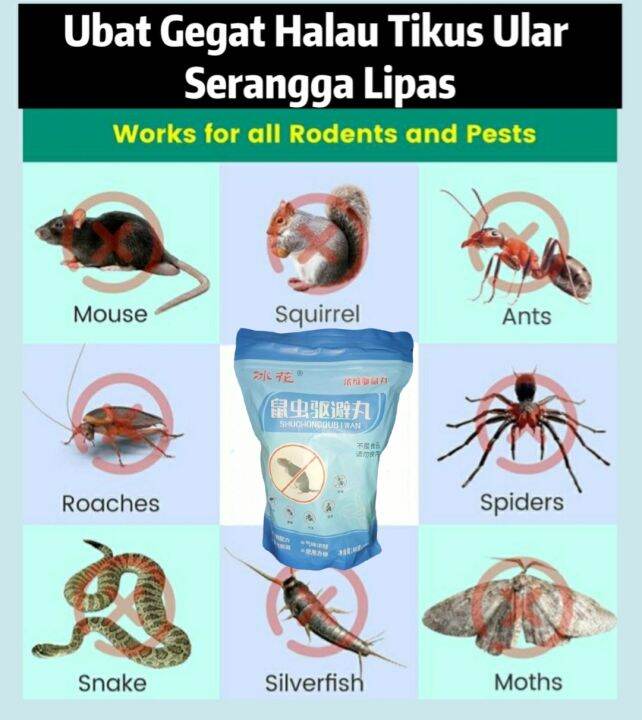 🐭10 biji pack 🐭 No Insect Mothballs repelling Rat Insect Cockroach