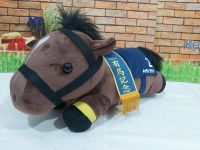 #Toreba#Thoroughbred Collection-Lying Down Big 36cm.Kitasan Black