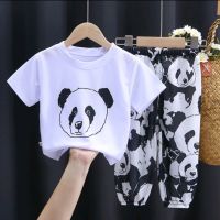 ชุดเซ็ท หมีแพนด้า เสื้อ+กางเกง( สินค้าพร้อมส่ง)