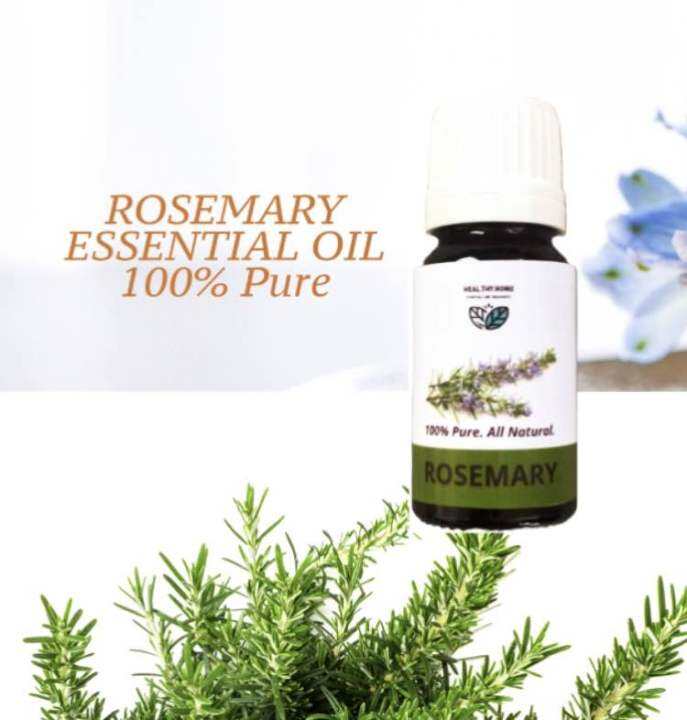 Rosemary Essential Oil 100% Pure | Lazada PH