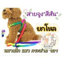 สายจูง​ สายรัดอก​ สายยาง1.2เมตร​ (ยกโหล)​