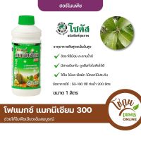 โฟแมกซ์ แมกนีเซียม300 ขนาด 1 ลิตร โซตัส ฮอร์โมนพืช สร้างสารคลอโรฟิลล์ ช่วยให้พืชใบเขียว พืชปรุงอาหารได้ดี สมบูรณ์