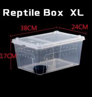 Reptile Box [XL] กล่องเลี้ยงสัตว์เล็ก สัตว์เลื้อยคลาน สัตว์เล็ก ผสมพันธุ์สดกล่อง สำหรับเลี้ยงงูแมงมุม ตุ๊กแก ฮอร์นฟรอก ตะขาบ แมงป่อง