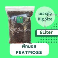 พีทมอส Peat Moss วัสดุธรรมชาติสำหรับเพาะเมล็ดและต้นกล้า