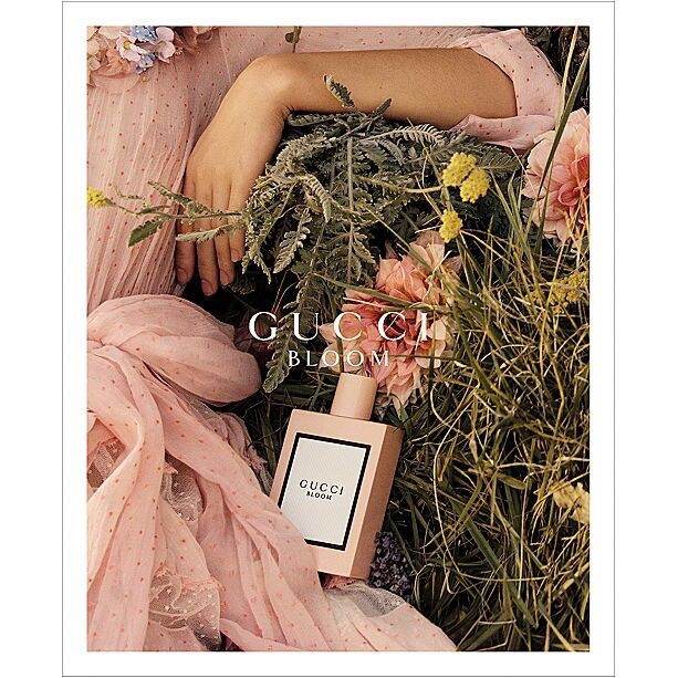 น้ำหอม-gucci-bloom-eau-de-parfum-100-ml