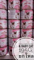 Royal Canin Mother &amp; Baby Cat 12 กระป๋อง ยกโหล(195 กรัม/กระป๋อง) Exp16/03/2025 อาหารเปียกสำหรับลูกแมวและแม่แมว