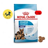 Royal Canin Maxi Starter Mother &amp; Babydog 4 kg. (อาหารสุนัขแบบเม็ด สำหรับแม่สุนัขพันธุ์ใหญ่ช่วงตั้งท้อง-หย่านมลูก)