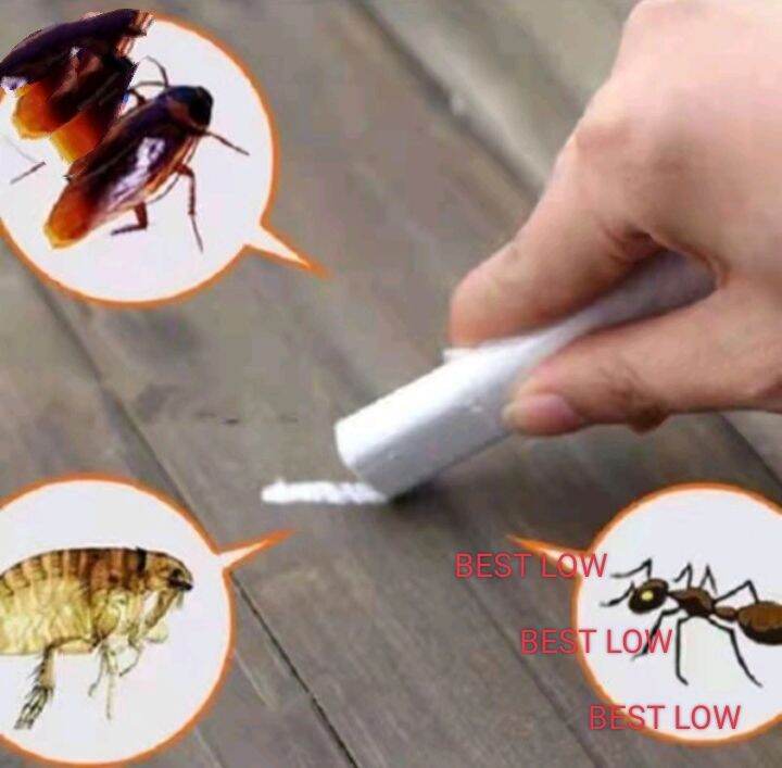BTS🥇CHALK Miraculous insect Chalk insecticide chalk chalk sa ipis Per ...