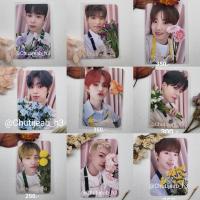 พร้อมส่ง✨️ การ์ด treasure Photo book [Blooming]?