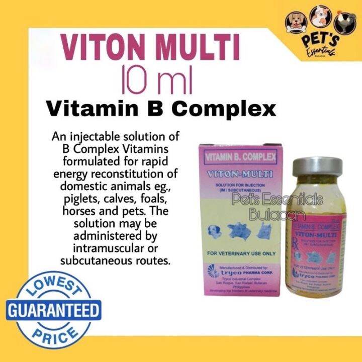 VITON MULTI 10ml(Vitamin B Complex) | Lazada PH