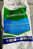 แอนทราโคล โพรพิเนบ ขนาด 1kg ป้องกัน ใบแห้ง ไหม้ แอนแทรคโนส