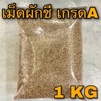 เม็ดผักชี ลูกผักชี 1 กิโลกรัม (Coriander seed 1 Kg) 香菜子 เมล็ดผักชี 1 กก. 芫荽种子 เครื่องเทศเกรดA กลิ่นหอม หมักเนื้อสัตว์ ดับกลิ่นคาว ทำเครื่องแกง