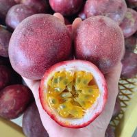 ?เสาวรสหวาน ถุงใหญ่ 10 กก. เก็บใหม่สดทุกวันจากสวนเชียงราย Passion Fruit