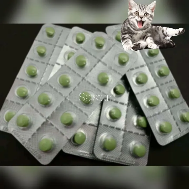 merawat kucing demam di rumah